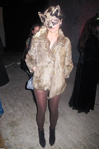 Fox costume