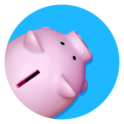 Budget